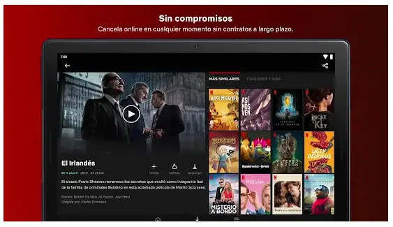 Netflix Reconocida App De Series Y Películas
