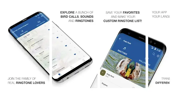 Bird Calls, Sounds & Ringtones App De Tonos De Llamada Con Sonidos De Pájaros