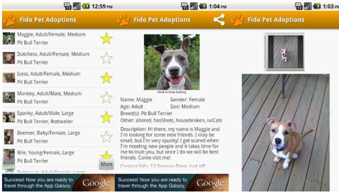 Fido Pet Adoptions