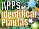 Apps para Identificar y Reconocer Plantas (2024)