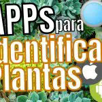 Apps para Identificar y Reconocer Plantas (2023)