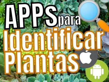 Apps para Identificar y Reconocer Plantas (2023)