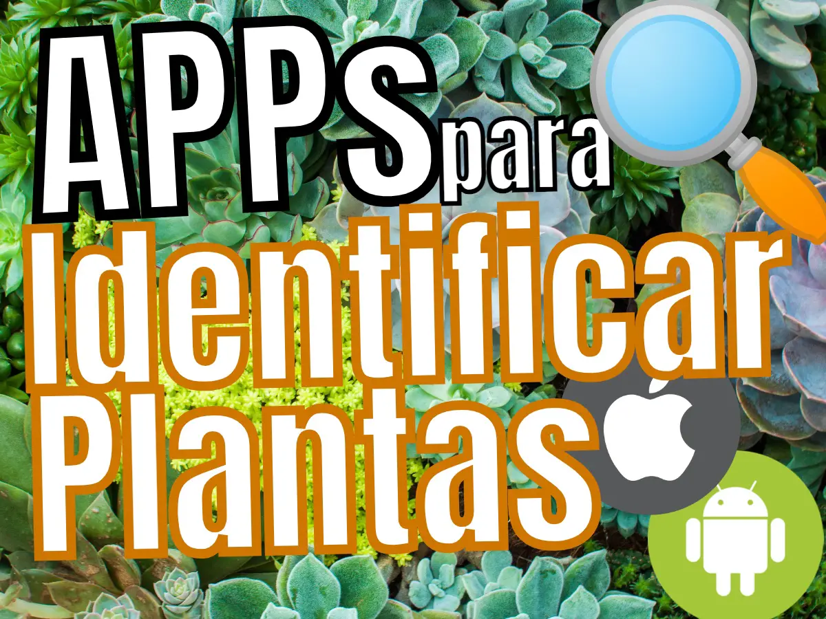 Aplicaciones Apps Para Identificar Plantas Flores Ios Iphone Android