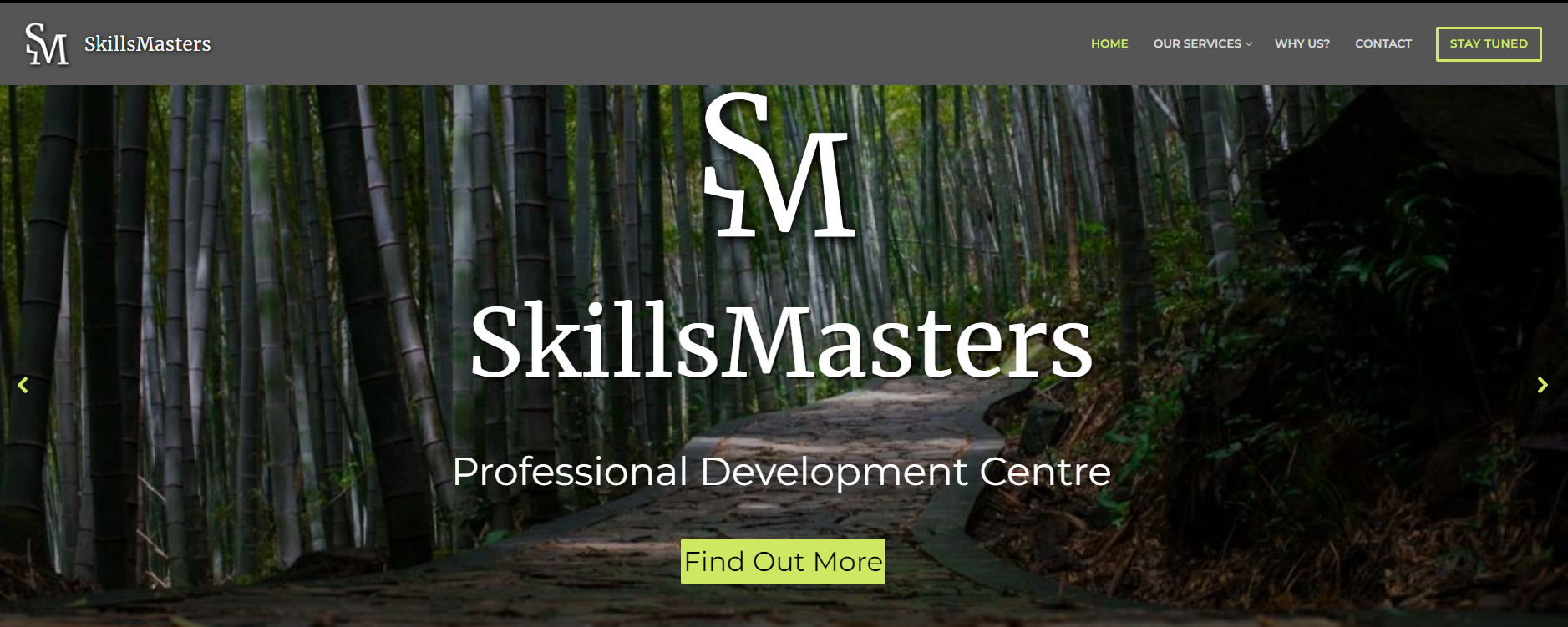 SkillsMaster Domina tus Habilidades
