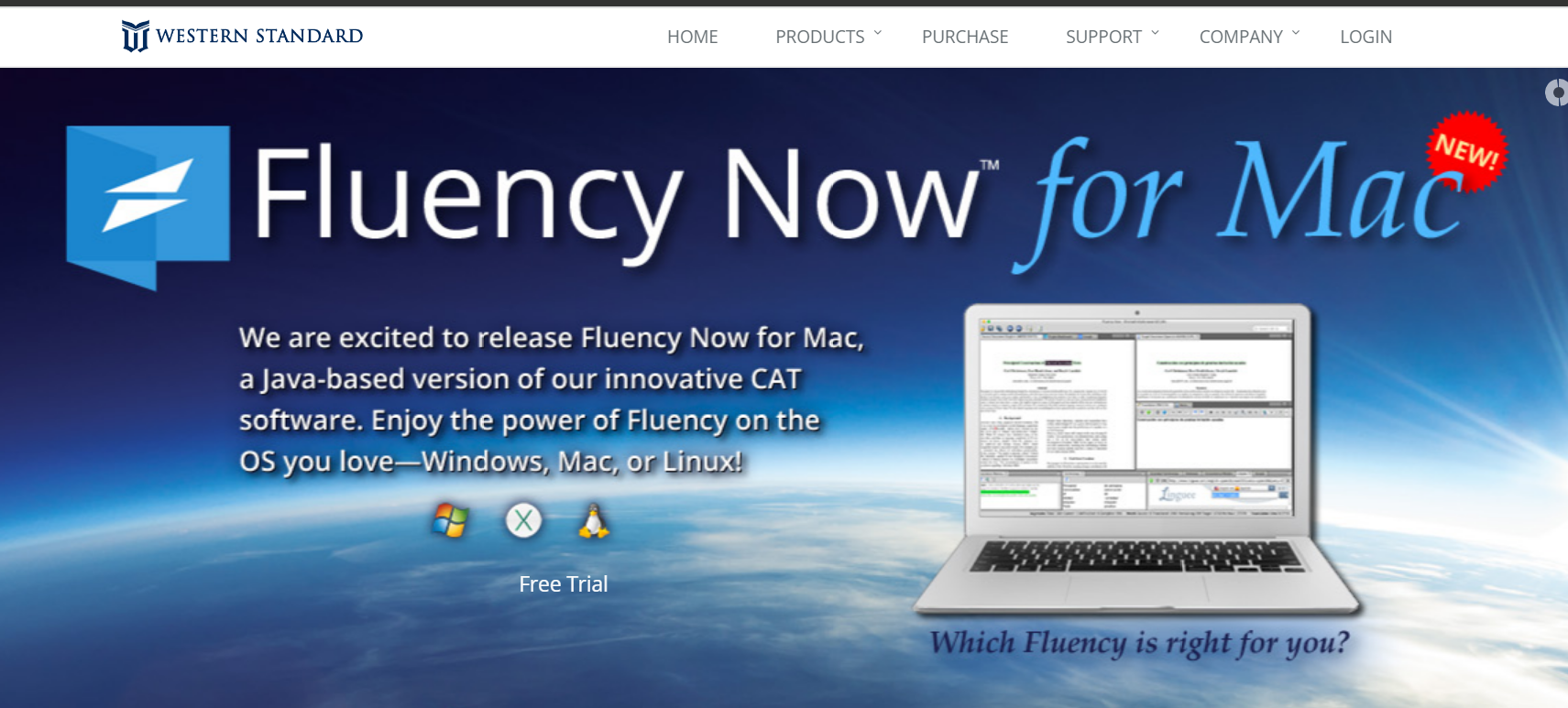 Fluency Now Gestión de Proyectos y Memoria de Traducción Profesional